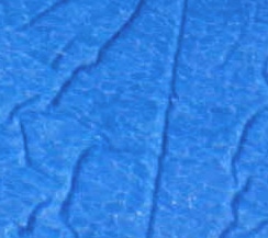 Proper Care for Your Vinyl Pool Liner